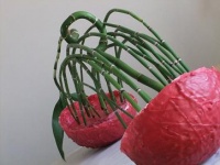 MOULD