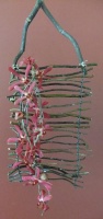 Drinking straws become flower test tubes
