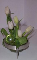 It's Tulip Time!