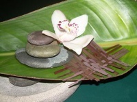 Floating Boat Orchid
