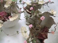 Spring Clean