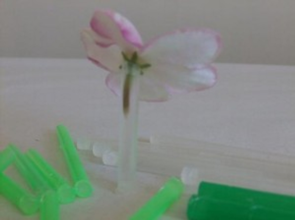 Drinking straw test tube with flower