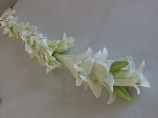 Garland Garland