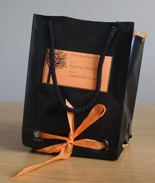 Bag Bag
