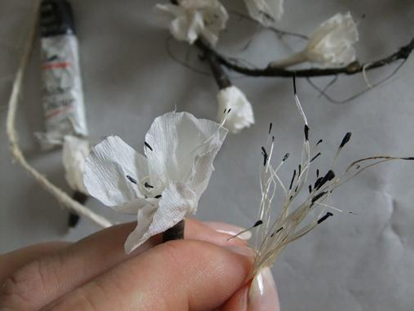 Blossom stamens