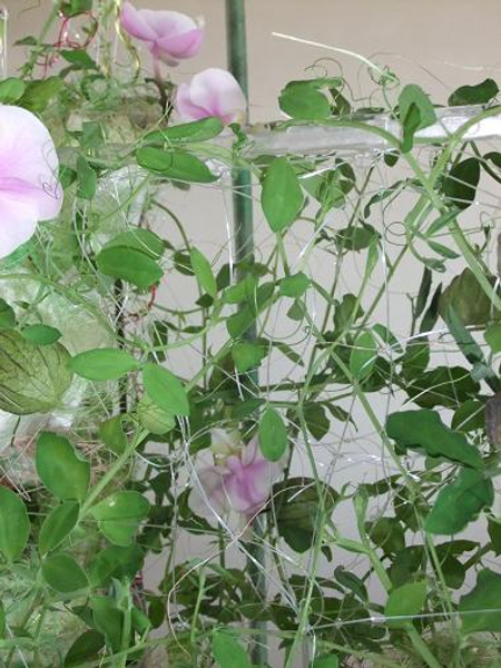 In the bag Floral Art design: tiny sweet pea plants growing to cover the bag