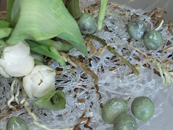 Glue nest and wax grapes