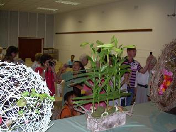 Christine de Beer Floral Trends floral Art demonstration