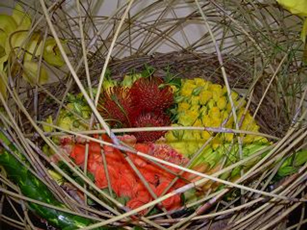 Floral Art competition Veiled Sunshine