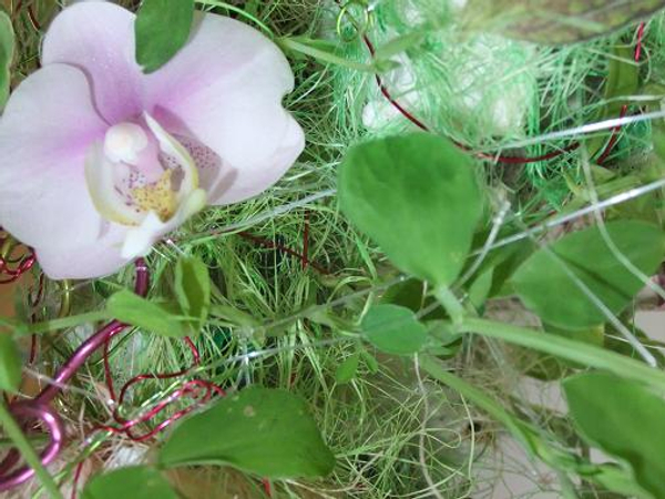 Growing a Floral Art Handbag with tiny plants:  In The Bag