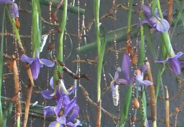 Floral Art Demonstration: Iris falling like water down the design