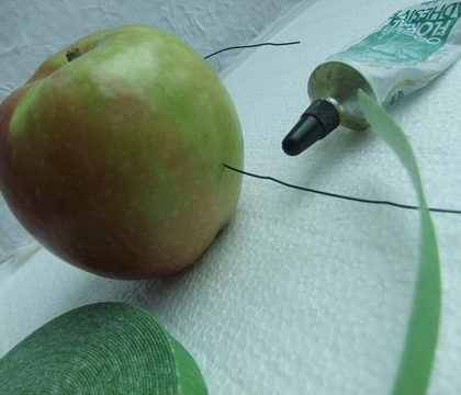 Wire apples and seal the insertion point
