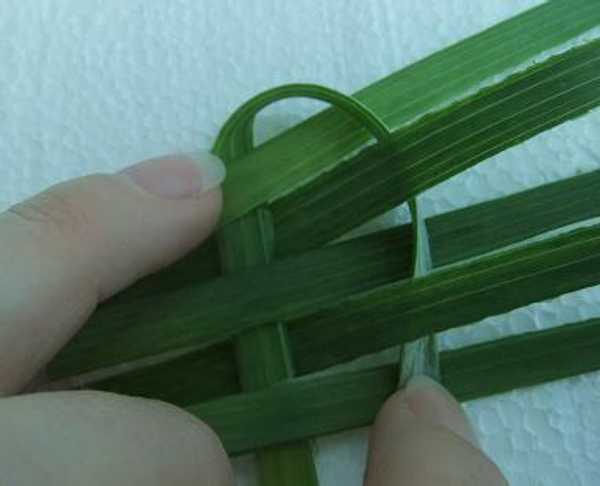 Weaving with Foliage- closed ended weave 1