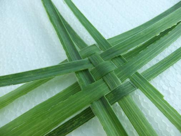 Weaving with foliage