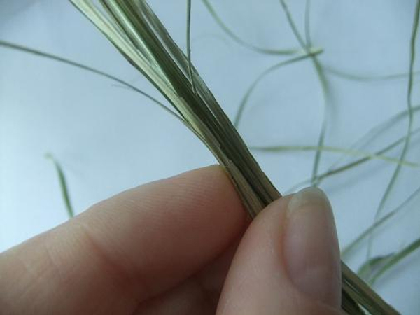 Making the tassel