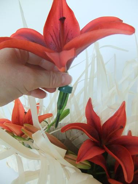 Place the lilies in test tubes.