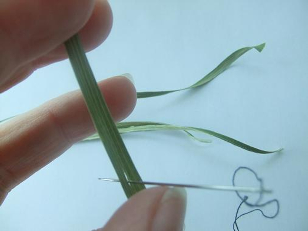 Split the leaf from a iris plant to make a tassel corsage