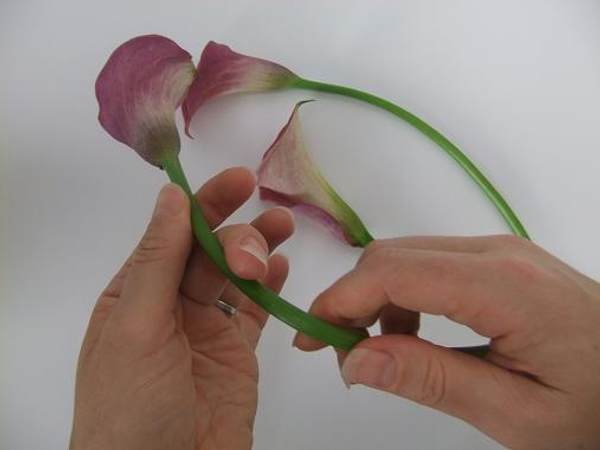 Gently curve the calla stems