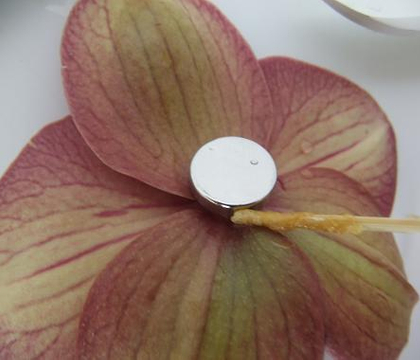 Tutorials - Using European OASIS floral glue to secure floral details… yes!  It makes a difference