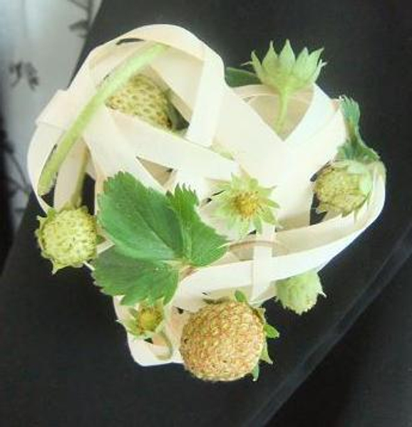 Strawberry and Kyogi paper Corsage