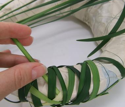 Looping the lily grass shape