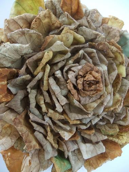 Rosette Autumn Fall Composite or Duchess Rose