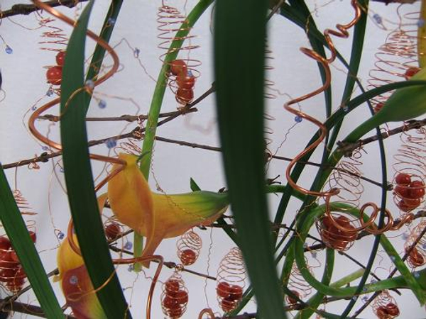 Direct Contrasts between dried twigs and green grass