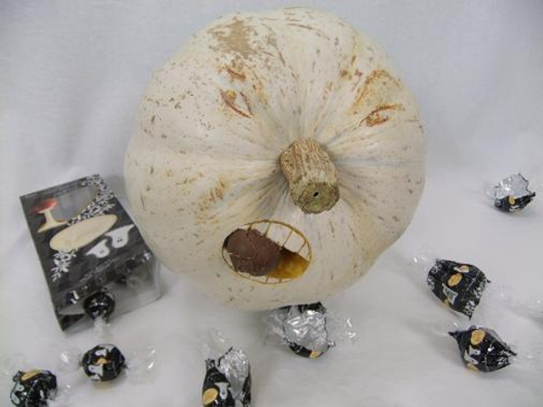 My ghost pumpkin is eating all my Lindt chocolates! My ghost pumpkin is eating all my Lindt chocolates!