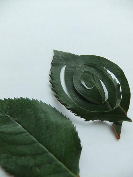 Rose leaf corsage