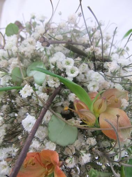 Alstroemeria flowers nestled between the twigs