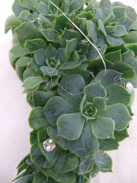 Corsage design with Echeveria rosettes and leaves