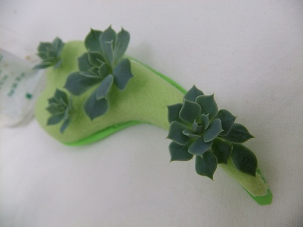 Cut the Echeveria rosette and glue it to the shape Cut the Echeveria rosette and glue it to the shape