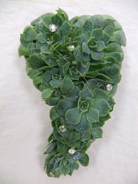 Echeveria waist corsage using a BoutStix Floral Magnets