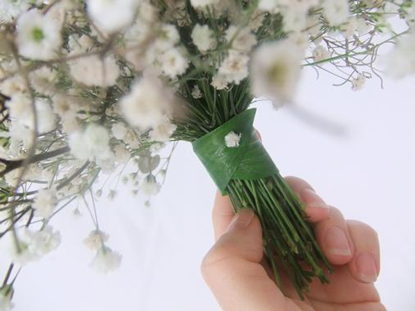 Gypsophila stems tied together