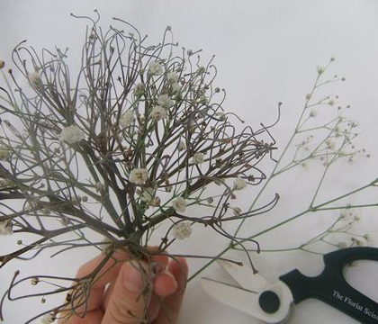 Gypsophila snowball posy