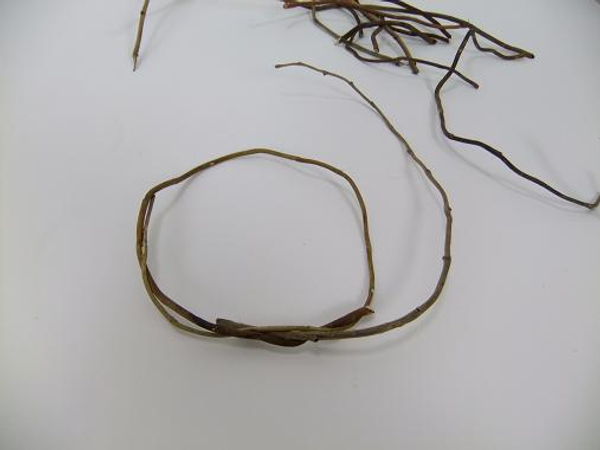 Start your twig wreath by making a loop