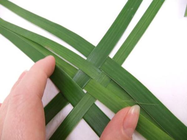 beginners weaving palm leaves