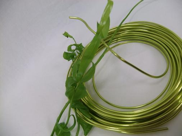 All you need for this project is a few stems of willow and wire