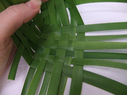 woven palm fronds