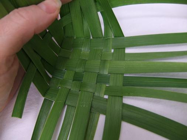 beginners weaving palm leaves