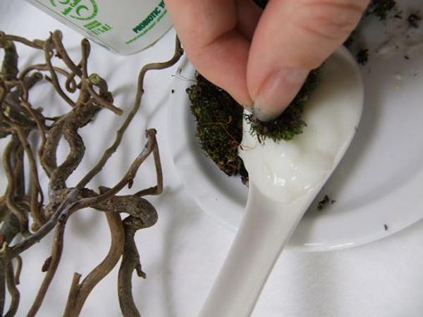 Dip the clean moss in yogurt