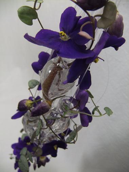 New Years Eve celebration with African violets, ornamental capsicum and rosary vine