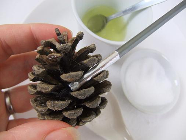 Paint the pine cone with egg white