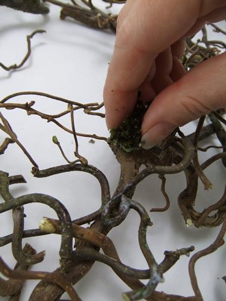 Paint the twig wreath with yogurt using the moss as a brush