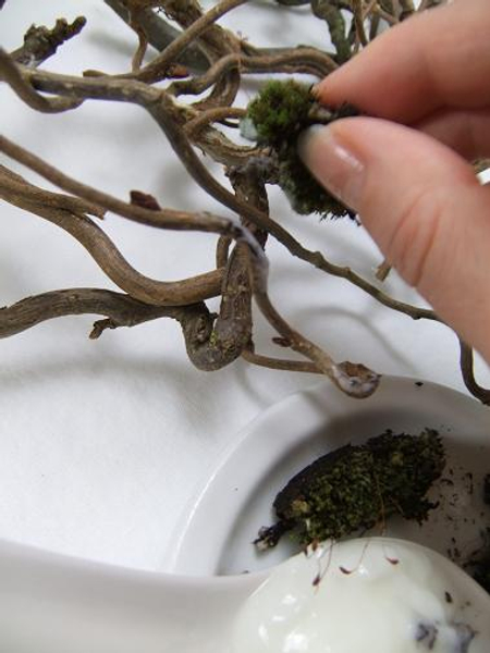Paint the wreath with yogurt using the moss as a brush on the places you want the moss to grow