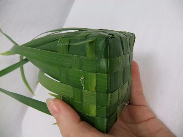 beginners weaving palm leaves