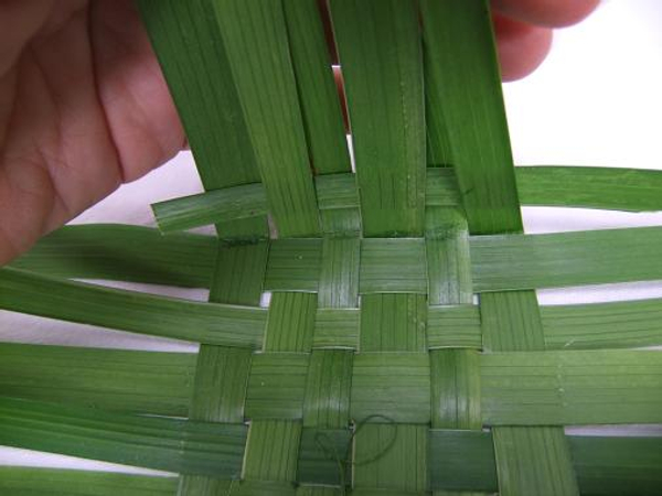 beginners weaving palm leaves