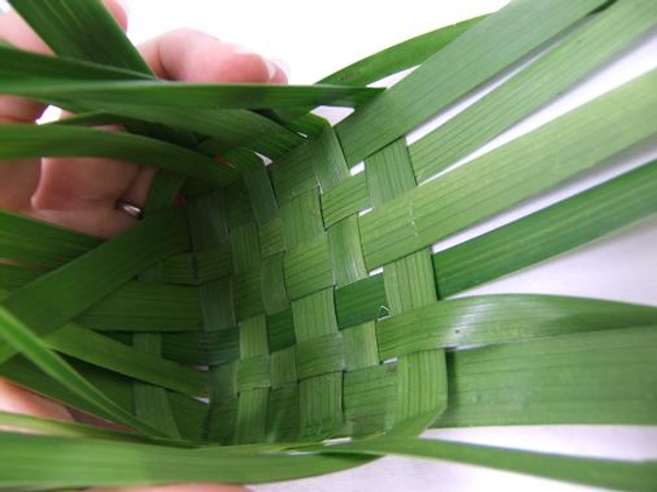 beginners weaving palm leaves