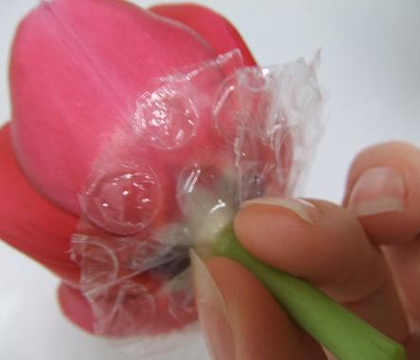 Bubble raft to float flowers