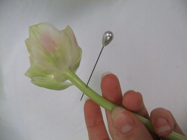 With a corsage pin, prick a wound through the stem of the tulip- just below the base of the flower head. This will create a wound and the tulip will focus on sealing the wound rather than on growth.